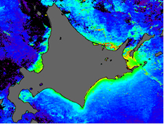 Satellite image (Chlorophyll a)