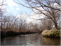 Upstream of the Bekanbeushi River