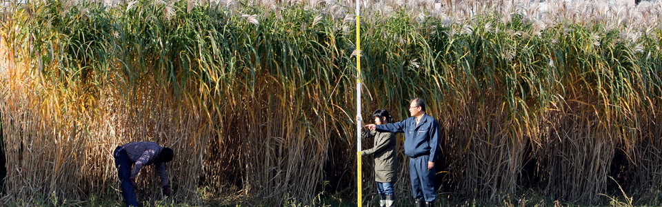 Hokkaido University, Graduate School of Environmental Science, The Agro-Ecosystem course