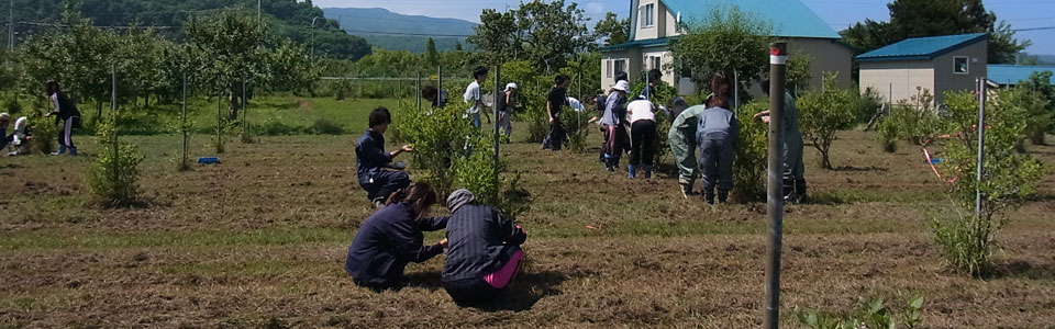 Hokkaido University, Graduate School of Environmental Science, The Agro-Ecosystem course