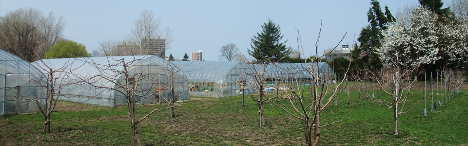 Hokkaido University, Graduate School of Environmental Science, The Agro-Ecosystem course