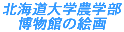 北海道大学農学部博物館の絵画