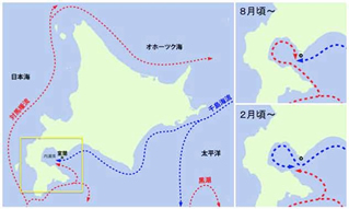 実験所について