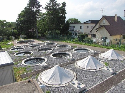 飼育設備 北海道大学七飯淡水実験所 飼育設備 北海道大学七飯淡水実験所