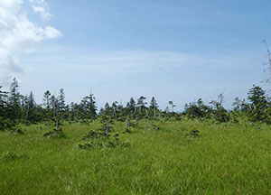 photo01