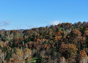 photo04
