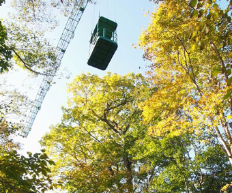 Tomakomai Experimental Forest