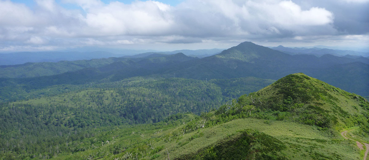 中川研究林