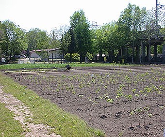 Sapporo Experimental Forest