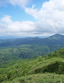 Nakagawa Experimental Forest