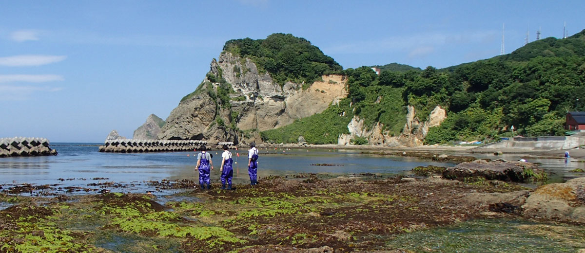 Muroran Marine Station