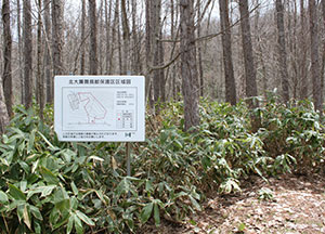 Sapporo Experimental Forest