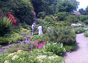 Botanic Garden