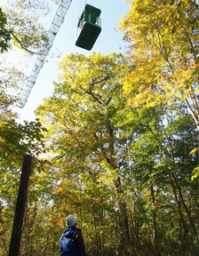 Tomakomai Experimental Forest