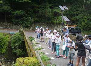 Wakayama Experimental Forest
