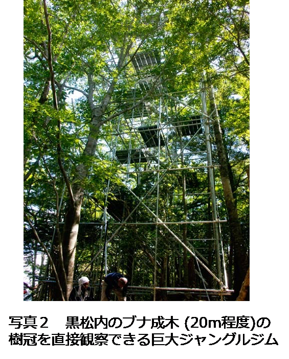 和歌山研究林 | FSC - 海から山まで網羅する16研究施設を統合する